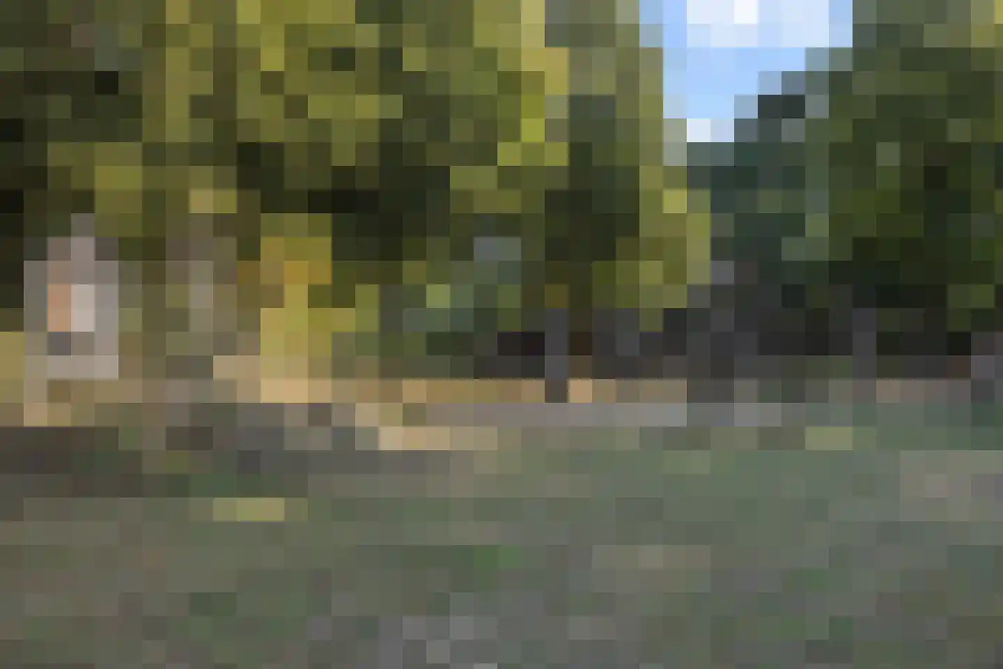 De Rijskamp 13 Berlicum thumbnail 46