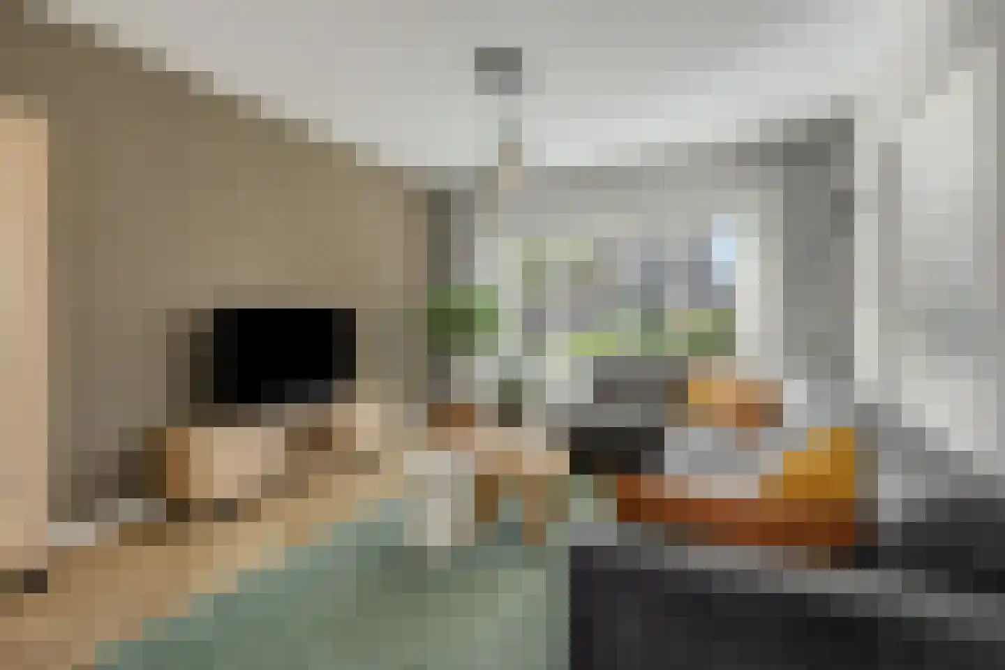 De Rijskamp 13 Berlicum thumbnail 9
