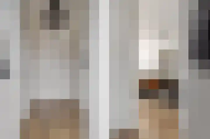 de Rijt 3 Reusel thumbnail 13