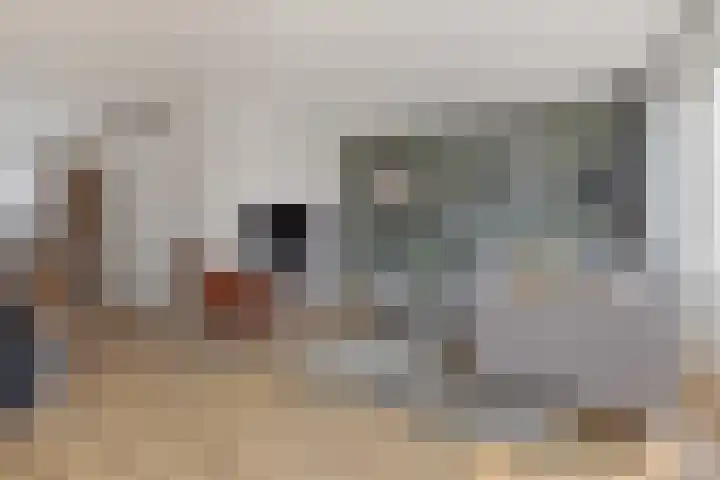 de Rijt 3 Reusel thumbnail 14