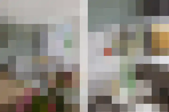 de Rijt 3 Reusel thumbnail 17