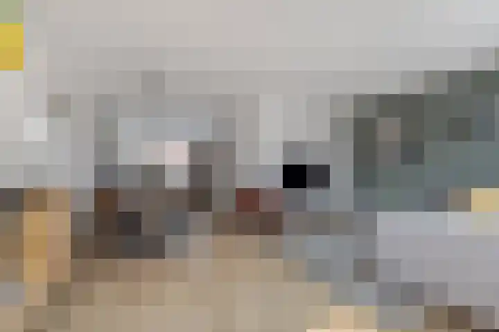 de Rijt 3 Reusel thumbnail 18