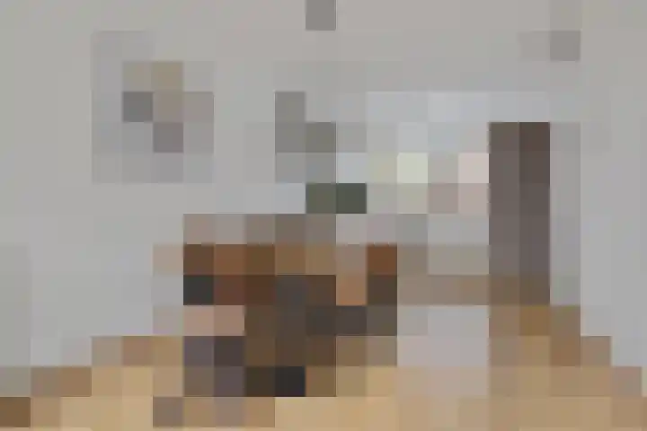 de Rijt 3 Reusel thumbnail 19