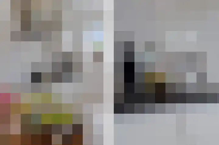 de Rijt 3 Reusel thumbnail 21