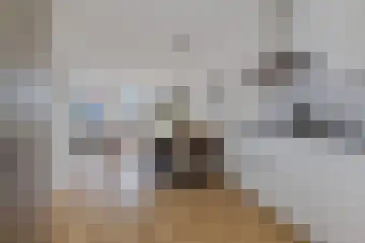 de Rijt 3 Reusel thumbnail 23