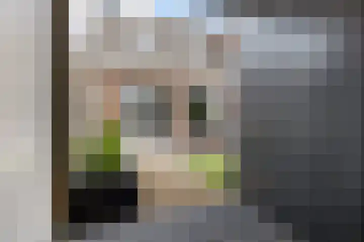 de Rijt 3 Reusel thumbnail 27
