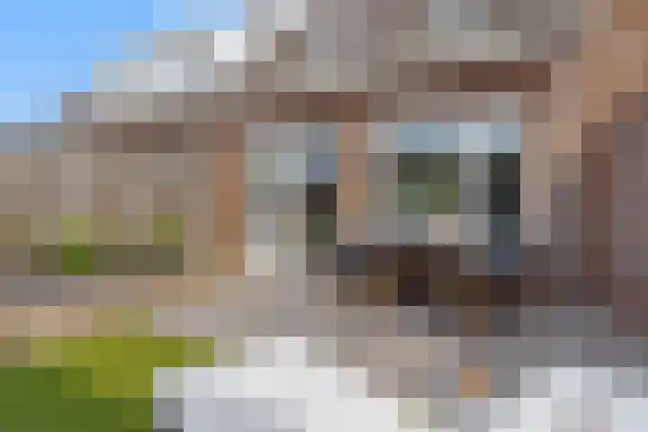 de Rijt 3 Reusel thumbnail 28