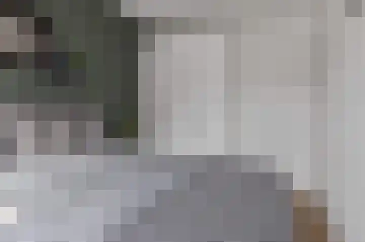 de Rijt 3 Reusel thumbnail 34