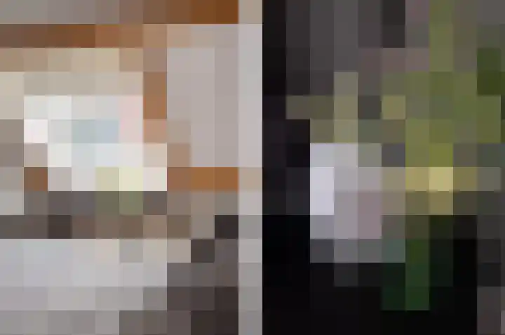 de Rijt 3 Reusel thumbnail 35