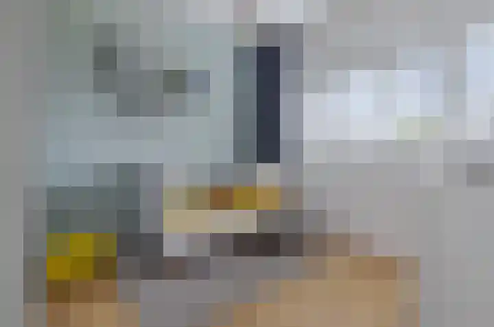 de Rijt 3 Reusel thumbnail 36