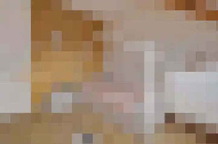 de Rijt 3 Reusel thumbnail 40