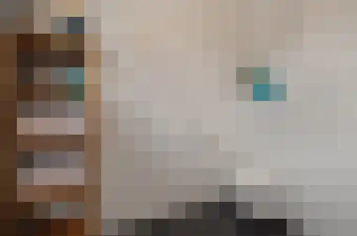 de Rijt 3 Reusel thumbnail 43