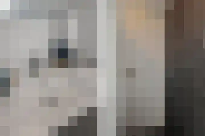 de Rijt 3 Reusel thumbnail 44