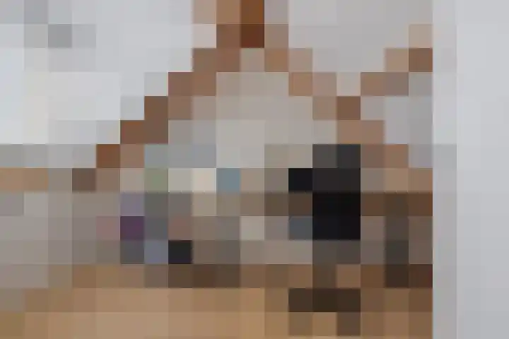 de Rijt 3 Reusel thumbnail 46