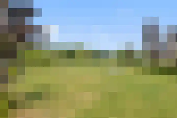 de Rijt 3 Reusel thumbnail 48
