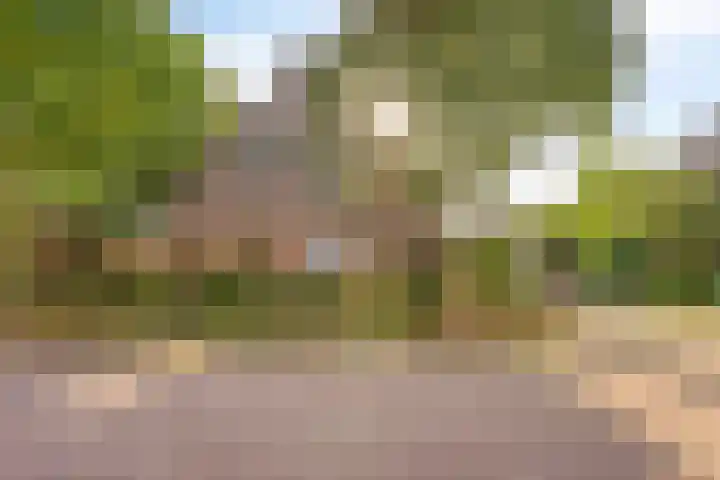 de Rijt 41 Helmond thumbnail 10