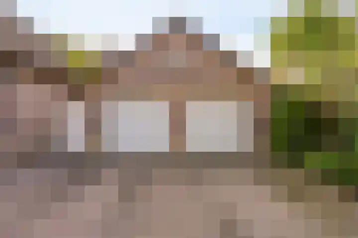 de Rijt 41 Helmond thumbnail 11