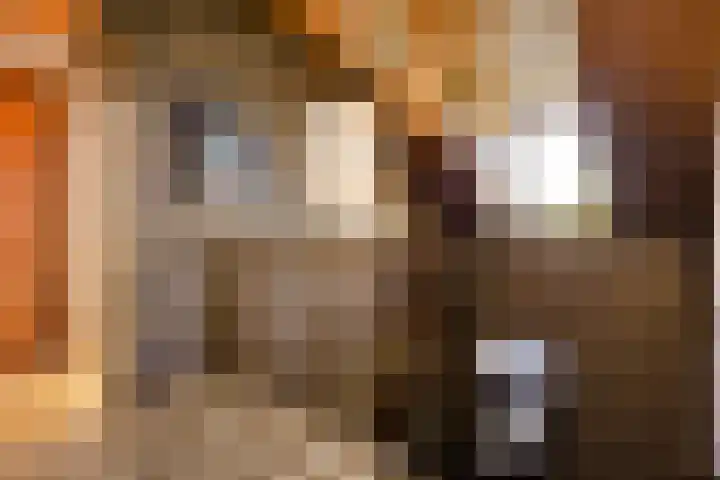 de Rijt 41 Helmond thumbnail 4