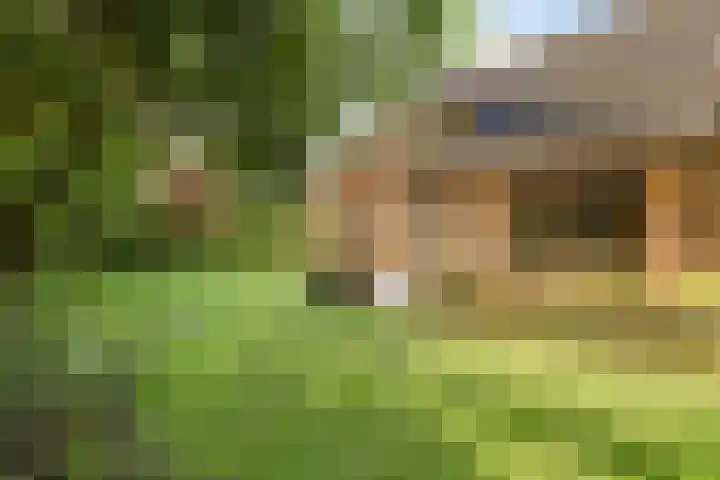 de Rijt 41 Helmond thumbnail 43