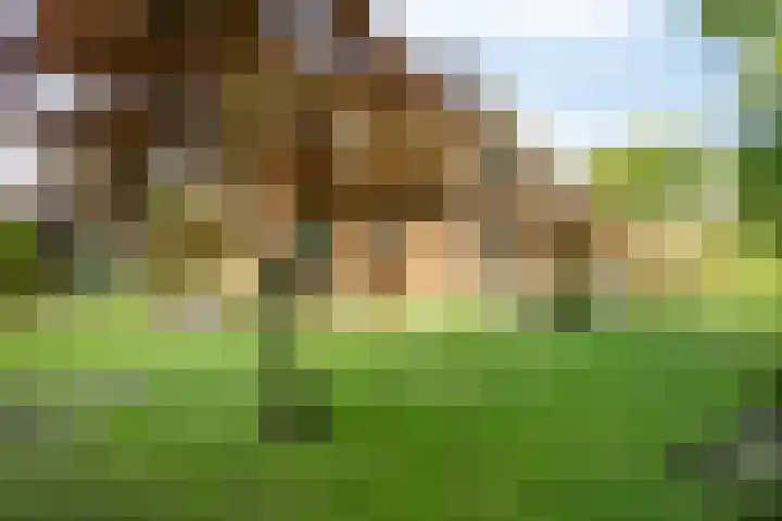 de Rijt 41 Helmond thumbnail 44