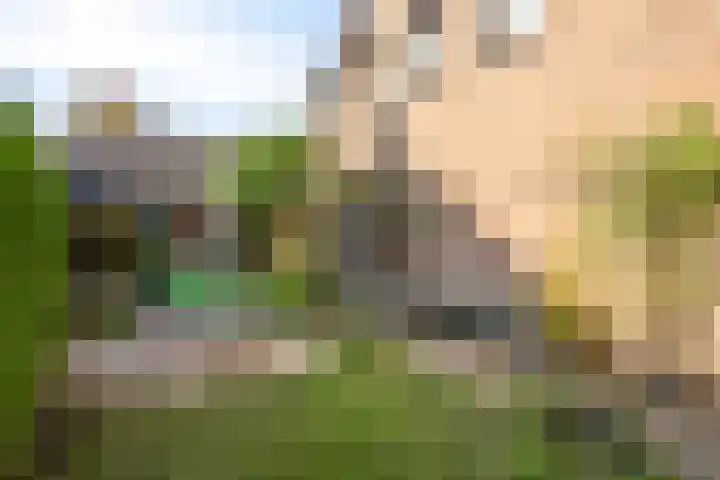 de Rijt 41 Helmond thumbnail 45