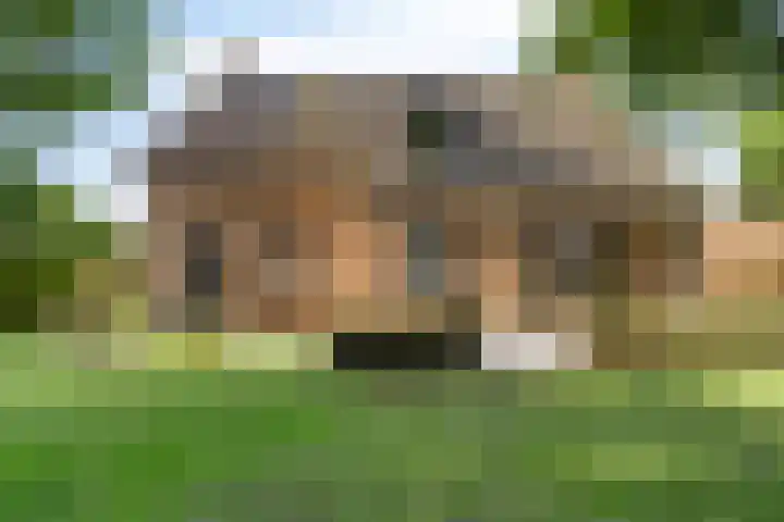 de Rijt 41 Helmond thumbnail 46