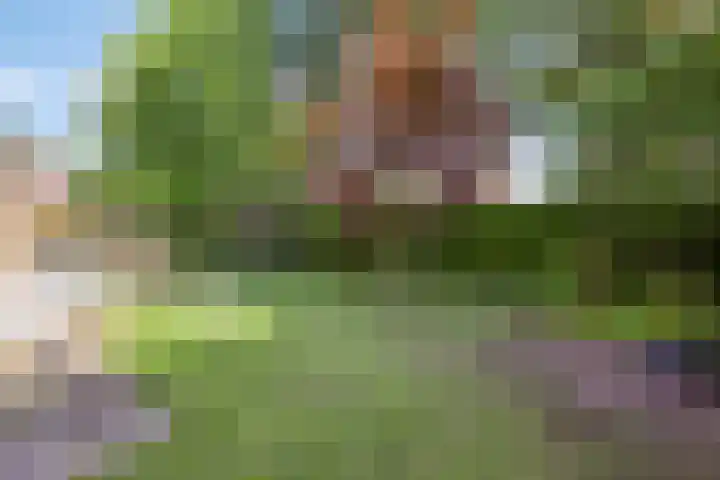 de Rijt 41 Helmond thumbnail 47