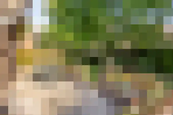 de Rijt 41 Helmond thumbnail 48