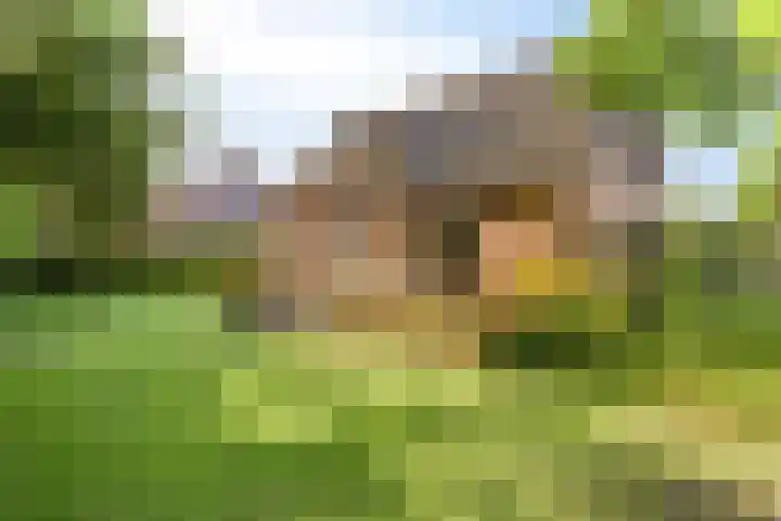 de Rijt 41 Helmond thumbnail 5