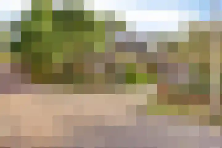 de Rijt 41 Helmond thumbnail 8
