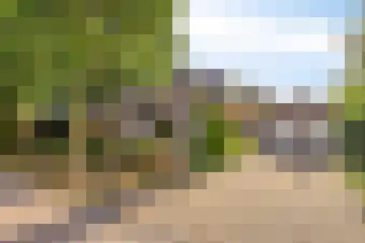 de Rijt 41 Helmond thumbnail 9