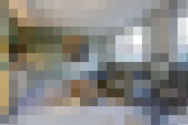 de Rijt 9 Reusel thumbnail 12