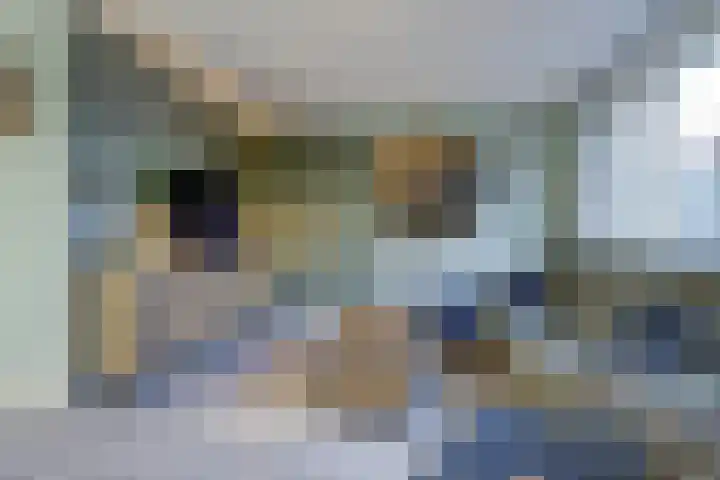 de Rijt 9 Reusel thumbnail 14