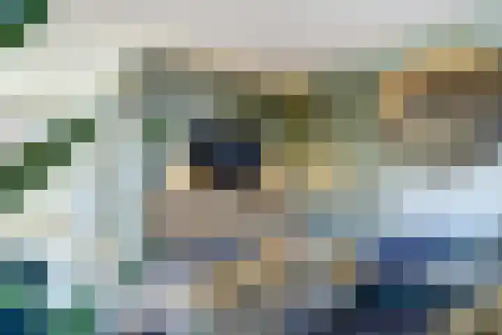 de Rijt 9 Reusel thumbnail 15