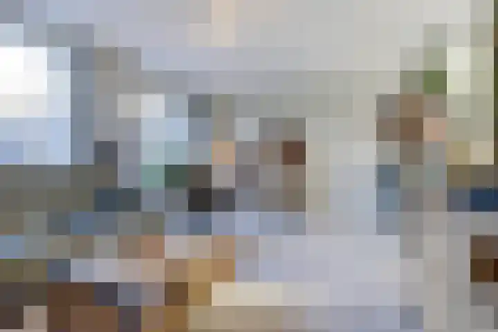 de Rijt 9 Reusel thumbnail 16