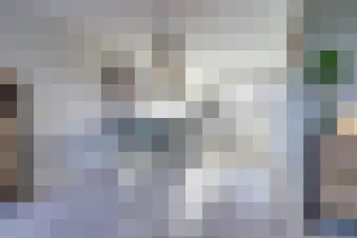 de Rijt 9 Reusel thumbnail 17