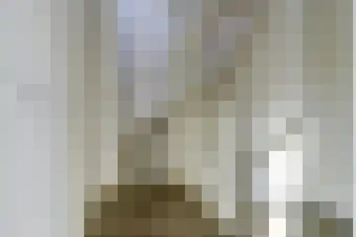 de Rijt 9 Reusel thumbnail 18