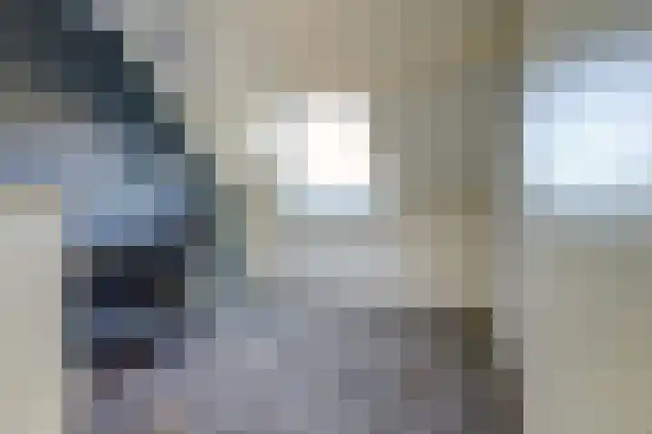 de Rijt 9 Reusel thumbnail 19