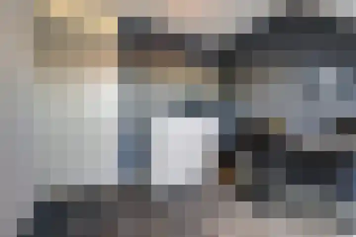 de Rijt 9 Reusel thumbnail 20