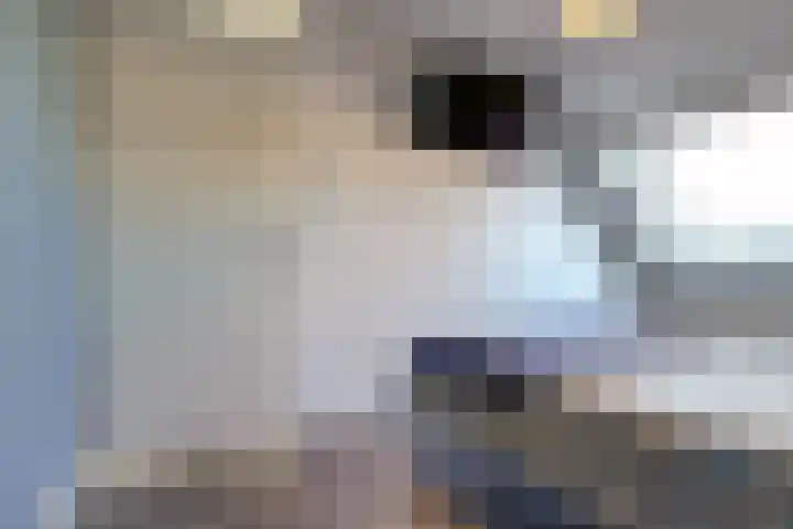de Rijt 9 Reusel thumbnail 21