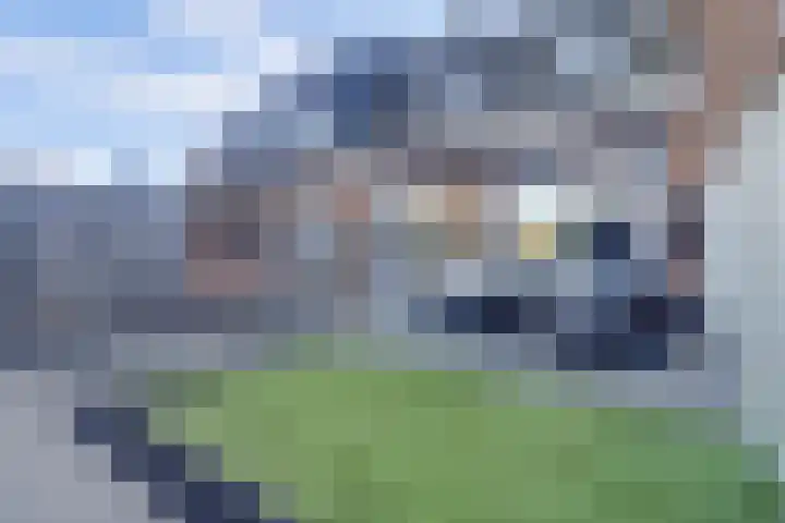 de Rijt 9 Reusel thumbnail 32