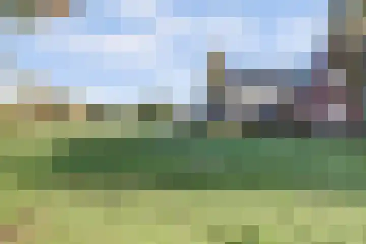 de Rijt 9 Reusel thumbnail 39