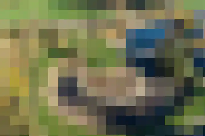 de Rijt 9 Reusel thumbnail 40