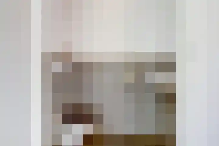 de Rijt 9 Reusel thumbnail 6