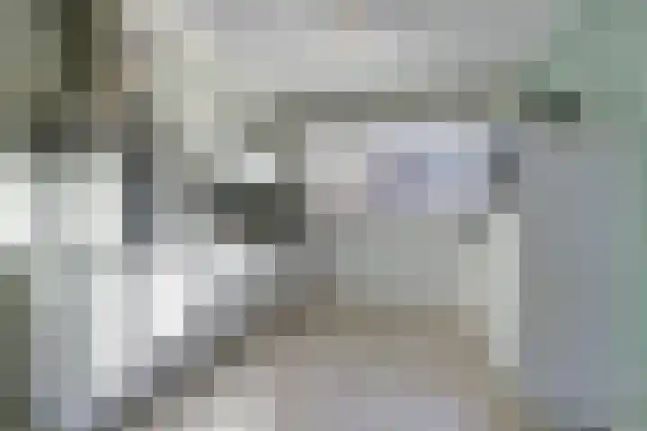 de Rijt 9 Reusel thumbnail 7