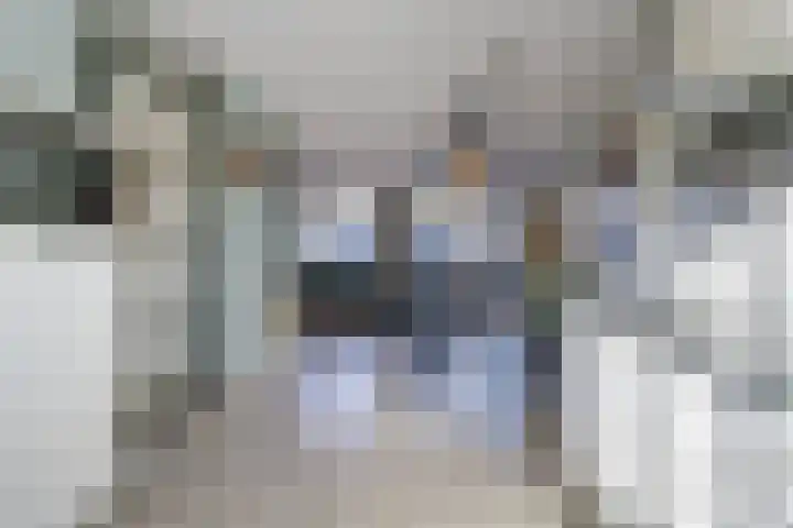 de Rijt 9 Reusel thumbnail 9