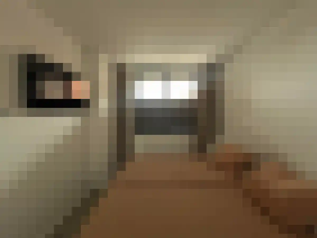 De Rik 26 Brielle thumbnail 4