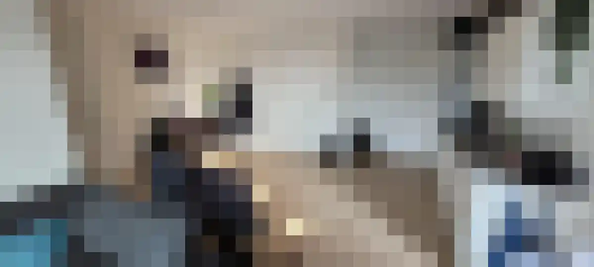 De Rik 26 Brielle thumbnail 6