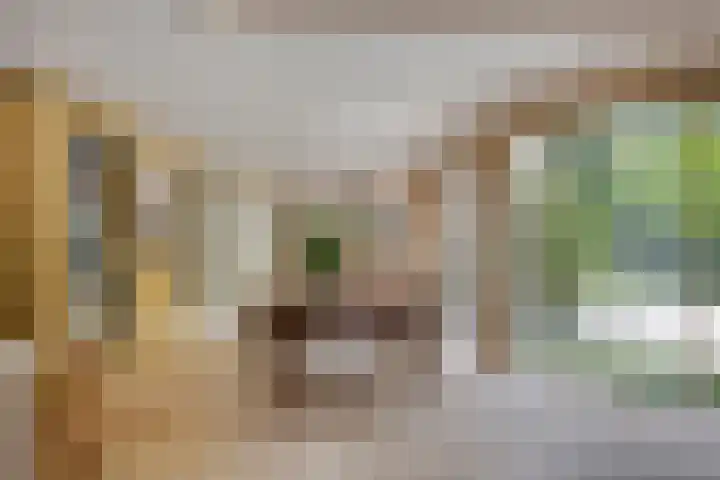 de Rik 6 b Tinte thumbnail 10