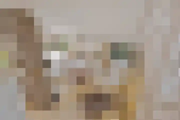 de Rik 6 b Tinte thumbnail 17